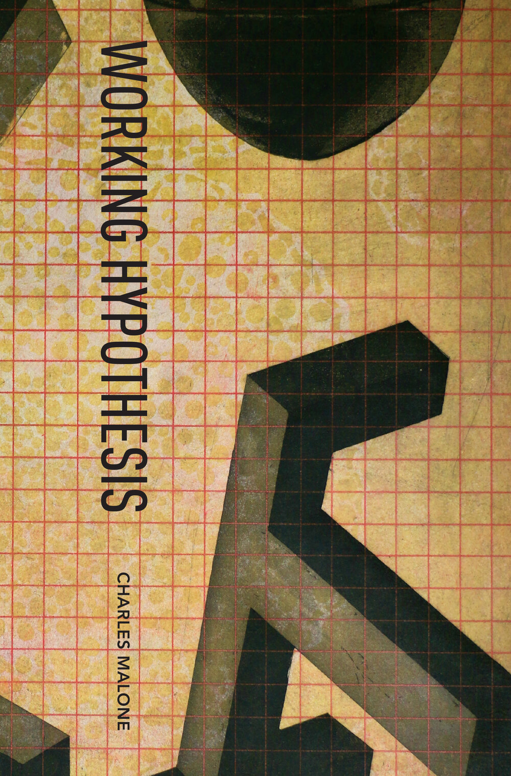 Working Hypothesis