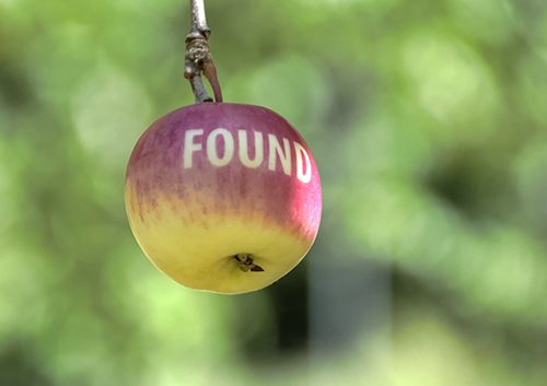 Apple with the word "found" written on it.